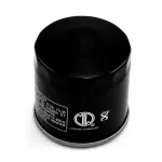 RB26925660003 162012P70B0000 162012P14A0000  Filtro Olio per Moto Morini 6/2 SCR 650- X-CAPE T 650